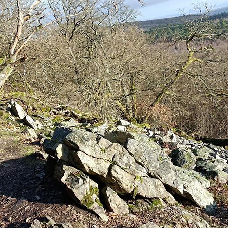 Ruhe Pur Am Golfplatz Stromberg Lägenhet Stromberg  Exteriör bild