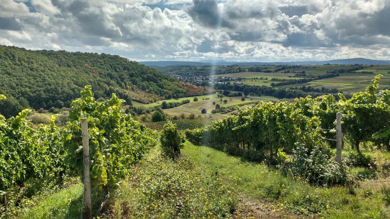 Ruhe Pur Am Golfplatz Stromberg Lägenhet Stromberg  Exteriör bild